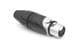 Amphenol Audio AX4F BULK